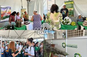 Uruçuí recebe 7ª edição do Diálogos Pelo Piauí com mais de 70 serviços (Foto: Conecta Piauí) Uruçuí recebe 7ª edição do Diálogos Pelo Piauí com mais de 70 serviços (Foto: Conecta Piauí)