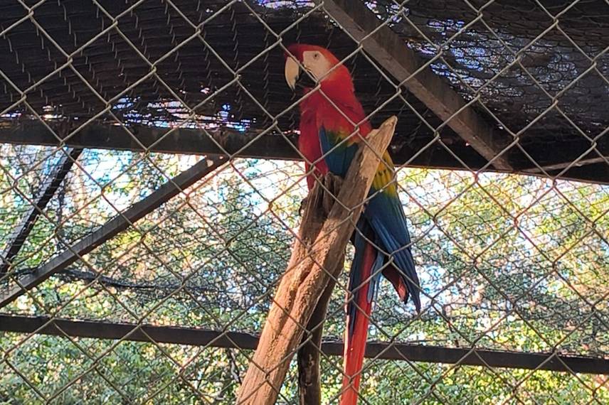Zoobotânico de Teresina Zoobotânico de Teresina
