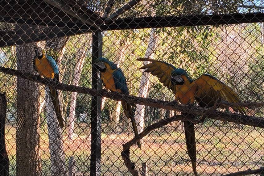 Zoobotânico de Teresina Zoobotânico de Teresina