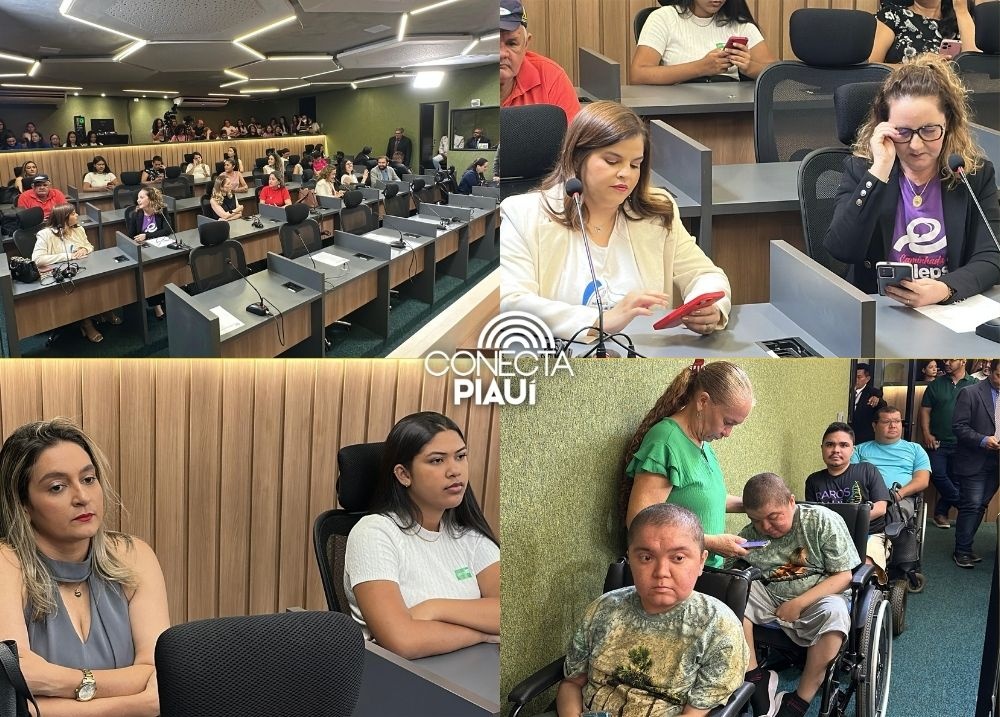 Audiência pública foi idealizada pelo deputado Tiago Vasconcelos