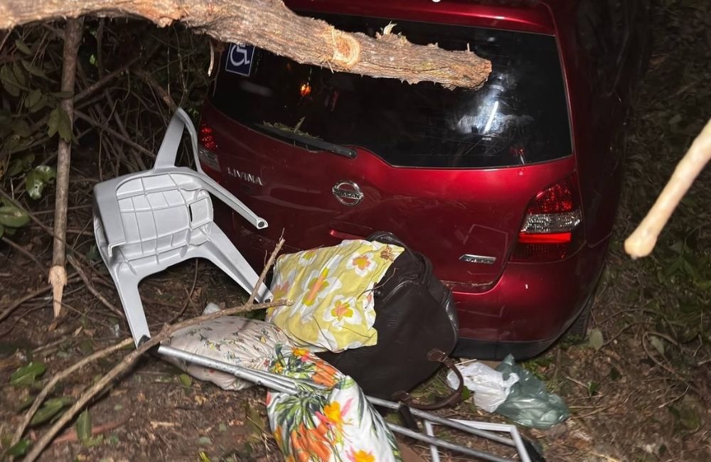 BR-343 registra duplo acidente após colisão de veículos com animal bovino