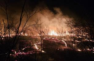 Brigadistas controlam incêndio de grandes proporções em Pimenteiras após quatro dias de combate (Foto: Ascom Semarh) Brigadistas controlam incêndio de grandes proporções em Pimenteiras após quatro dias de combate (Foto: Ascom Semarh)