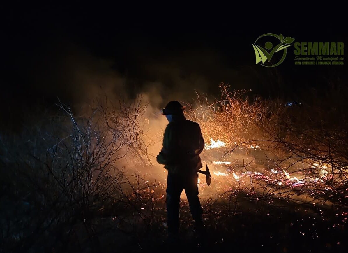 Brigadistas controlam incêndio de grandes proporções em Pimenteiras após quatro dias de combate