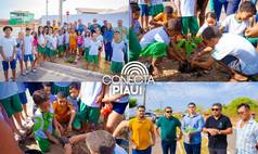 Colônia do Piauí celebra Dia da Árvore com plantio de mudas nativas