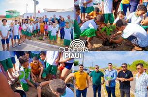 Colônia do Piauí celebra Dia da Árvore com plantio de mudas nativas (Foto: Reprodução) Colônia do Piauí celebra Dia da Árvore com plantio de mudas nativas (Foto: Reprodução)