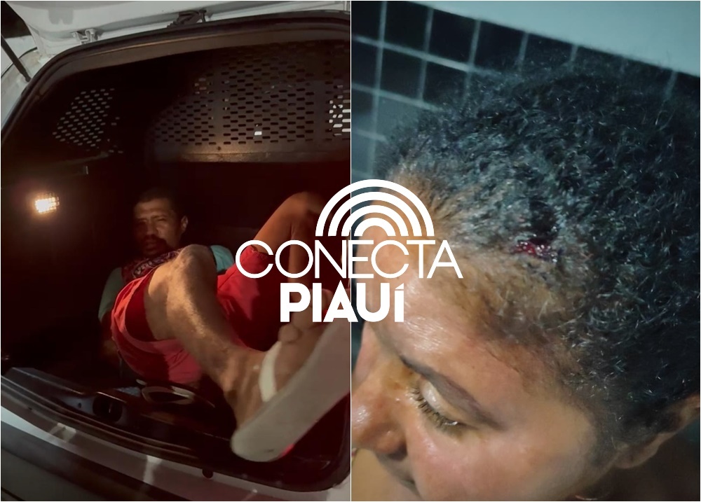 Homem é preso após agredir a própria mãe a pauladas em Parnaíba