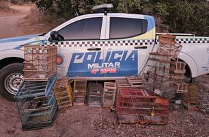 Homem é preso por manter aves silvestres em cativeiro em Pio IX (Foto: Reprodução) Homem é preso por manter aves silvestres em cativeiro em Pio IX (Foto: Reprodução)