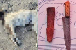 Homem é preso suspeito de matar cachorro a facadas na zona Rural de Paio IX (Foto: Divulgação/PMPI) Homem é preso suspeito de matar cachorro a facadas na zona Rural de Paio IX (Foto: Divulgação/PMPI)