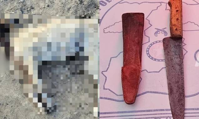 Homem é preso suspeito de matar cachorro a facadas na zona Rural de Paio IX