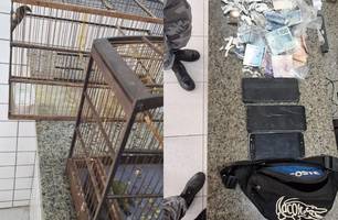 Jovem é preso por tráfico de drogas em Parnaíba com drogas e aves silvestres (Foto: Reprodução) Jovem é preso por tráfico de drogas em Parnaíba com drogas e aves silvestres (Foto: Reprodução)