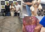 Mulher é presa por maus-tratos a cachorro e desacato à polícia em Teresina
