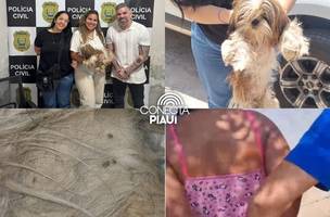 Mulher é presa por maus-tratos a cachorro e desacato à polícia em Teresina (Foto: Reprodução) Mulher é presa por maus-tratos a cachorro e desacato à polícia em Teresina (Foto: Reprodução)