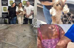 Mulher é presa por maus-tratos a cachorro e desacato à polícia em Teresina (Foto: Reprodução) Mulher é presa por maus-tratos a cachorro e desacato à polícia em Teresina (Foto: Reprodução)
