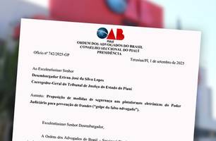 OAB-PI propõe medidas ao TJPI para combater o 'golpe do falso advogado' (Foto: Reprodução) OAB-PI propõe medidas ao TJPI para combater o 'golpe do falso advogado' (Foto: Reprodução)