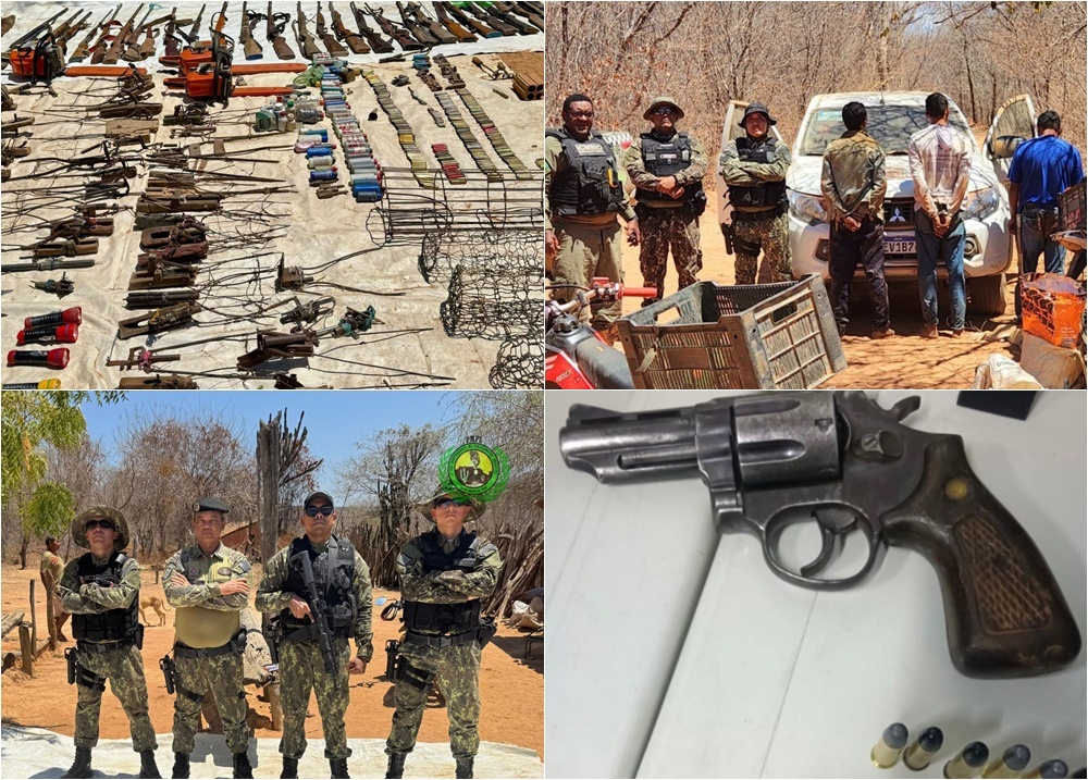 Operação no Piauí apreende armas, resgata animais e aplica R$110 mil em multas