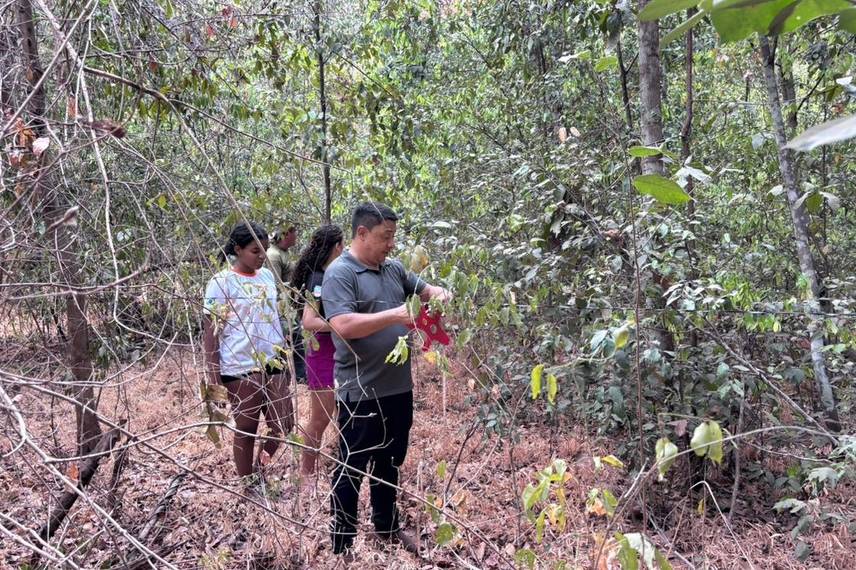 Palmeira do Piauí realiza Semana Ecológica em alusão ao Dia da Árvore Palmeira do Piauí realiza Semana Ecológica em alusão ao Dia da Árvore