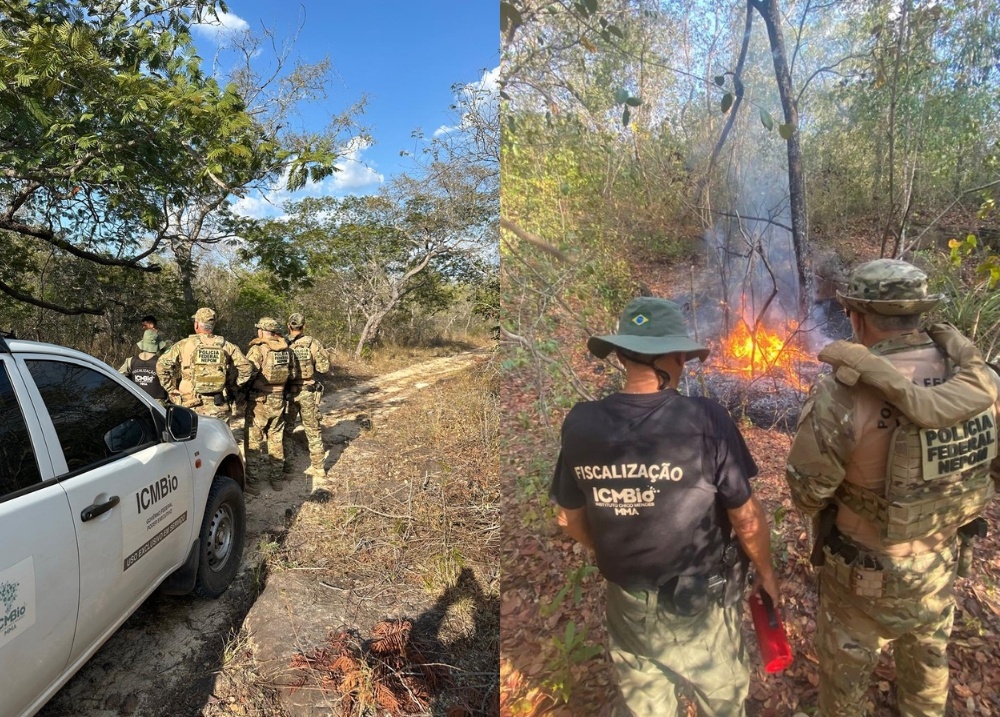 PF e ICMBio intensificam o combate à caça ilegal no Parque Nacional de Sete Cidades no Piauí
