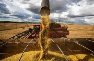 Piauí amplia área produtiva e produtividade (Foto: Agência Brasil) Piauí amplia área produtiva e produtividade (Foto: Agência Brasil)