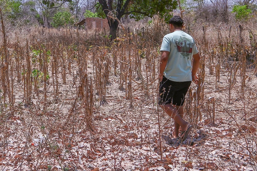 Piauí enfrenta déficit de chuvas de 40% e seca se agrava no interior