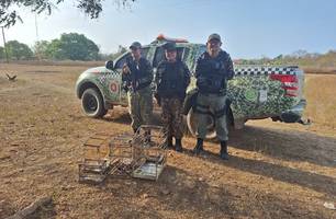 PM resgata animais silvestres mantidos em cativeiro em Caraúbas do Piauí (Foto: Reprodução) PM resgata animais silvestres mantidos em cativeiro em Caraúbas do Piauí (Foto: Reprodução)