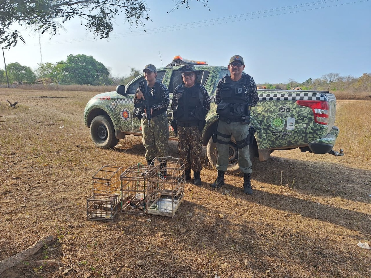 PM resgata animais silvestres mantidos em cativeiro em Caraúbas do Piauí