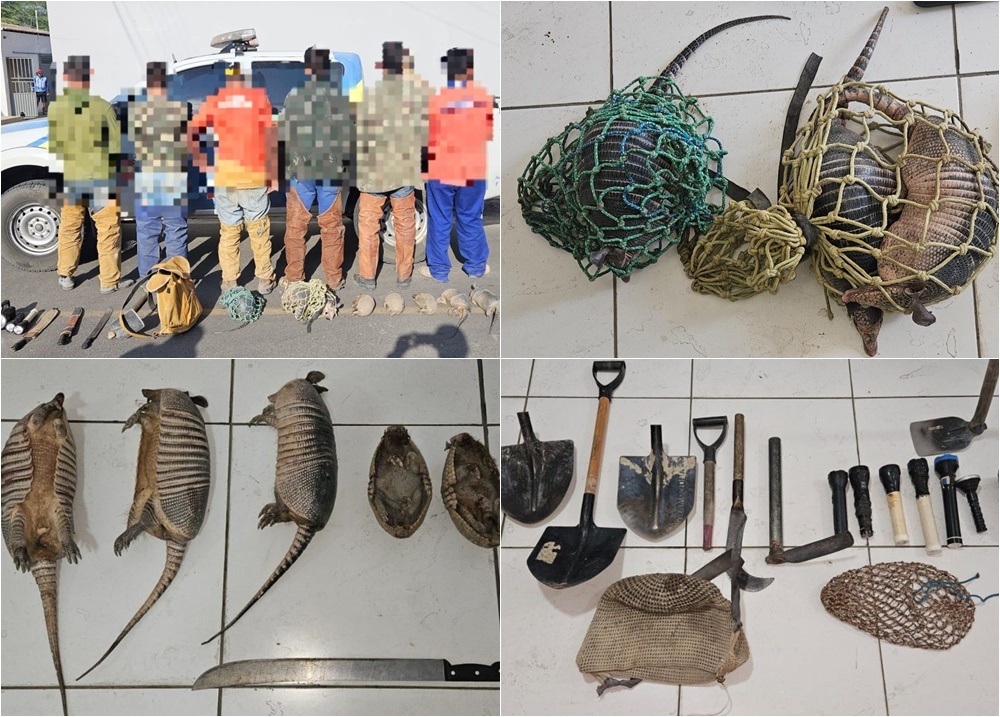 Polícia resgata animais, apreende caça e autua seis por crime ambiental no Piauí