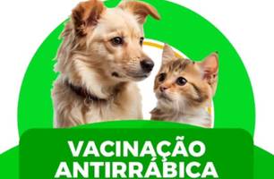 Prefeitura de Beneditinos inicia campanha de vacinação antirrábica em cães e gatos (Foto: Reprodução) Prefeitura de Beneditinos inicia campanha de vacinação antirrábica em cães e gatos (Foto: Reprodução)