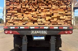 PRF-PI apreende carga irregular de madeira equivalente a 10 campos de futebol (Foto: Reprodução)