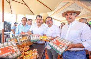 Produção de ovos no Piauí cresce 75% e registra aumento histórico (Foto: Reprodução) Produção de ovos no Piauí cresce 75% e registra aumento histórico (Foto: Reprodução)