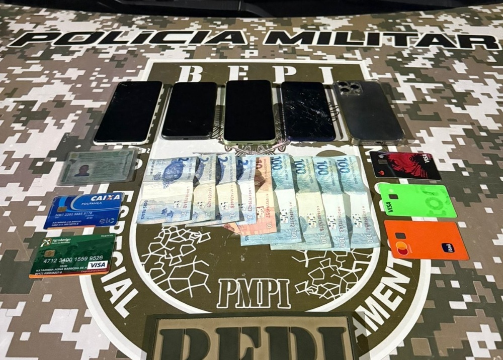 Quadrilha especializada no furto a shoppings e supermercados é presa em Teresina