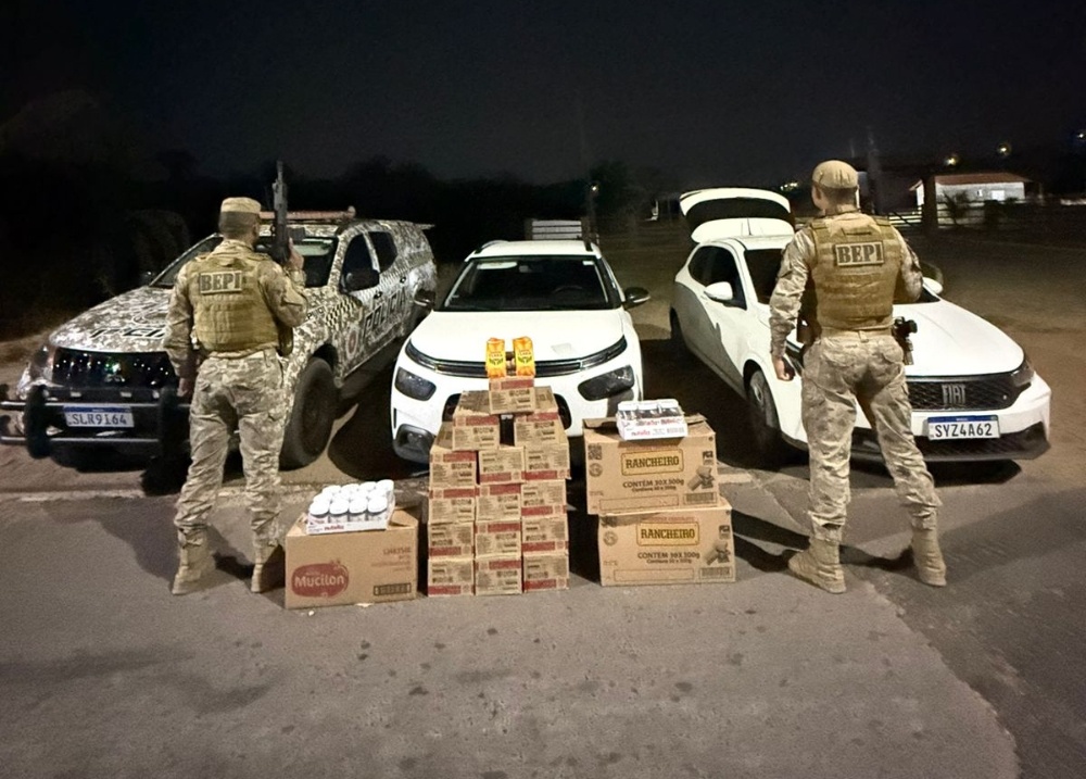 Quadrilha especializada no furto a shoppings e supermercados é presa em Teresina