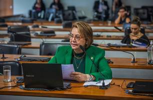 Senadora Jussara Lima (Foto: Reprodução) Senadora Jussara Lima (Foto: Reprodução)