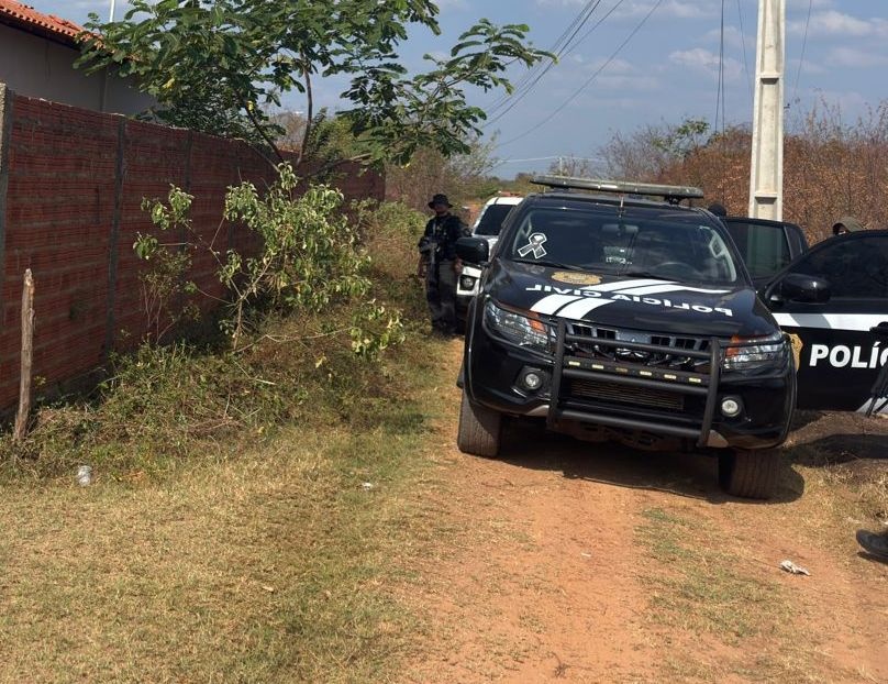 Suspeito de duplo homicídio em Alto Longá é preso durante operação em Altos
