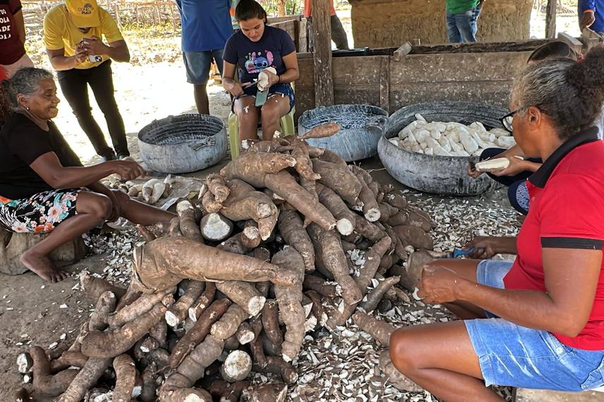 Trabalho, cultura e resistência: a vida na Comunidade Vereda de Anacleto Trabalho, cultura e resistência: a vida na Comunidade Vereda de Anacleto