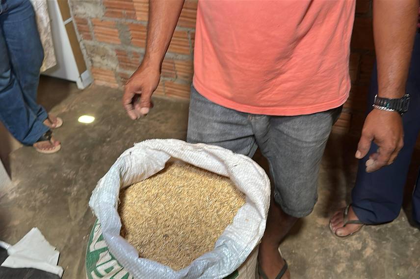 Trabalho, cultura e resistência: a vida na Comunidade Vereda de Anacleto Trabalho, cultura e resistência: a vida na Comunidade Vereda de Anacleto