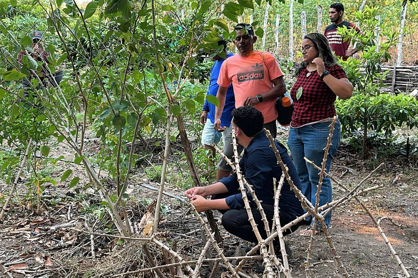 Trabalho, cultura e resistência: a vida na Comunidade Vereda de Anacleto Trabalho, cultura e resistência: a vida na Comunidade Vereda de Anacleto