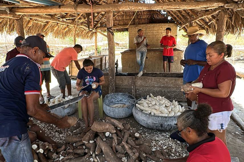 Trabalho, cultura e resistência: a vida na Comunidade Vereda de Anacleto Trabalho, cultura e resistência: a vida na Comunidade Vereda de Anacleto